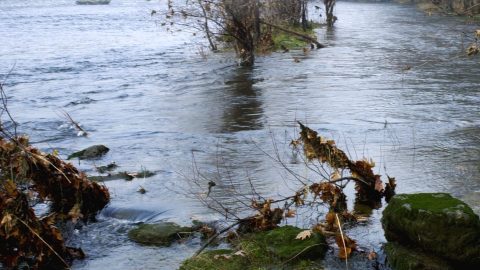 La muerte de Parr sigue bajo investigación de las autoridades y la Patrulla Marina de la Policía Estatal está solicitando a los testigos que se presenten.