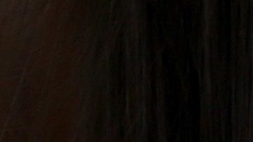 La visa L-1 permite a empresas el traslado de ejecutivos y personal especializado a EE.UU.