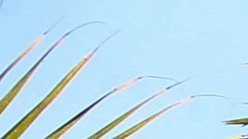 Casa de Al Capone en Miami.