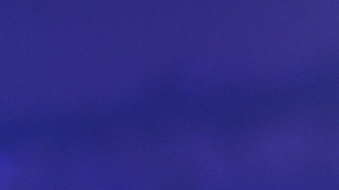 El show contará además con la música de Tito Rodríguez, Tito Puente y Machito, a cargo de una orquesta de 17 músicos.