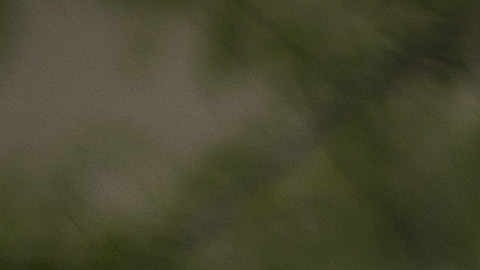 Hombre fue acusado de mandar mensajes sexuales explícitos a una niña de 14 años en Carolina del Sur