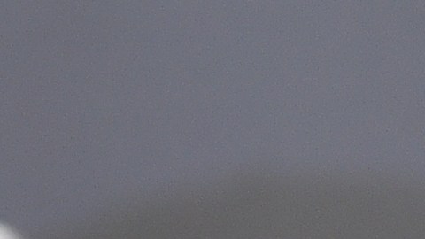 El tutor de Oher aseguró que le entregó todo el dinero que le tocaba por la película de Sandra Bullock.