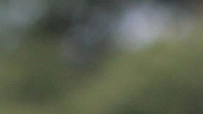 El sendero se encuentra cerca del centro de Bel Air, a unas 30 millas al noreste de Baltimore.