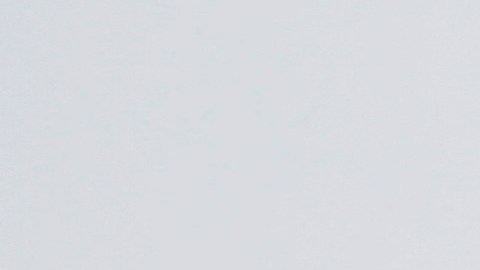 TOPSHOT-IRAQ-CONFLICT-FALLUJAH