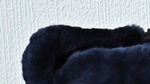 TOPSHOT-RUSSIA-POLITICS-OPPOSITION-PROTEST-NAVALNY