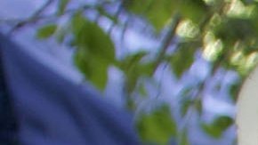 Hombre de Massachusetts se declaró culpable de amenazar con una bomba a un funcionario de EE.UU., según el DOJ