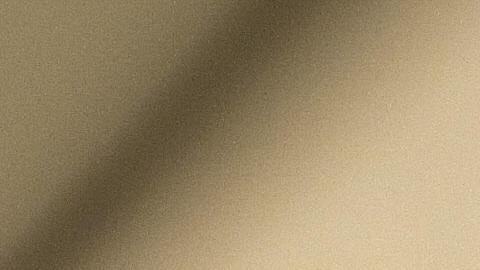 La mujer enfrenta hasta 10 años de cárcel por fraude de pasaporte y recibirá dos años obligatorios por robo de identidad agravado.