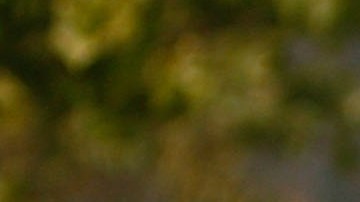 Santa Ana Winds Stoke Wildfires In Southern California