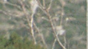 Miembro del Cuerpo de Marines de EE.UU. fue acusado de abusar sexualmente de una niña de 14 años en una barraca de California