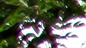 Escuela en Puerto Rico