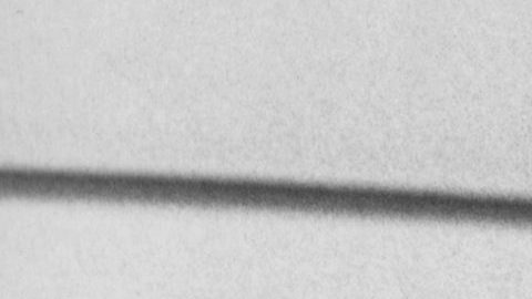 Claudine Longet era una actriz y cantante conocida en los años 60 y 70.