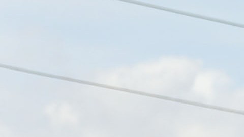 Georgia