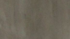 Vecinos de la zona se toparon con los restos humanos desmembrados.