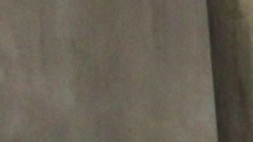 Vecinos de la zona se toparon con los restos humanos desmembrados.