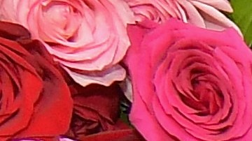 La cantante Thalía en compañía de su esposo Tommy Mottola.