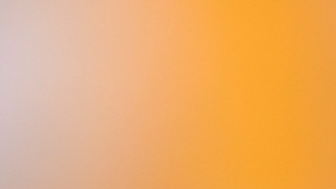 Carlos Vela, futbolista mexicano.