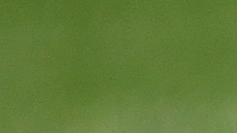 Hizo historia con 13 años: Delantero se convirtió en el futbolista profesional más joven de EE.UU.