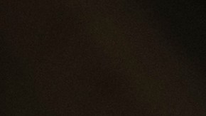 Trump acusa a Rupert Murdoch, director de Fox News, de ser un "globalista"