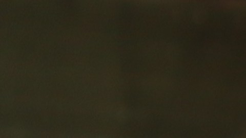 Sobrevivientes de crímenes piden a la Gobernadora Hochul dar vía libre a ley que concede compensación a víctimas