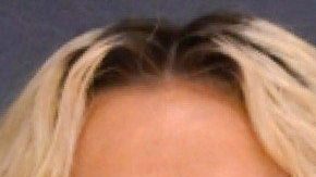 Los MTV Video Music Awards 2023 vivirá una verdadera noche de reinas, ya que entre sus máximas nominadas están Taylor Swift, Doja Cat, Kim Petras y Miley Cyrus, entre otras.