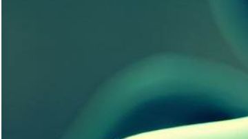 Ilustración de la ameba devoradora de cerebros.