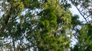 Desastres naturales