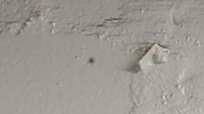 New York Mets subirán al dominicano Ronny Mauricio, prospecto número 4 de la organización