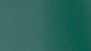 Entrenador de los New York Jets promete romper una sequía de 26 años sin ganar su división