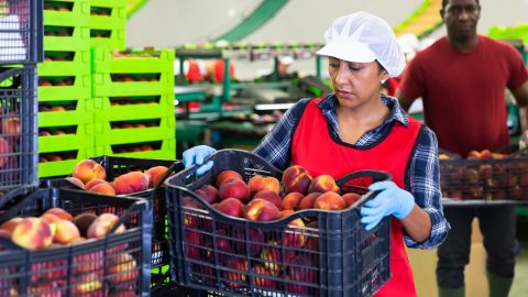 Trabajadores