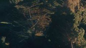 Un video muestra el momento en el que una casa se desploma por la creciente del río.