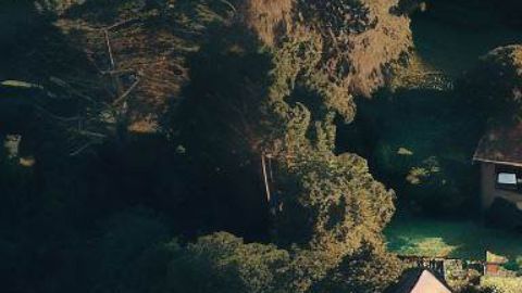 Un video muestra el momento en el que una casa se desploma por la creciente del río.