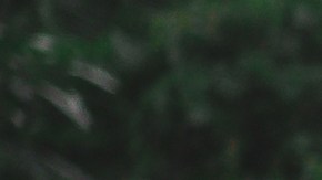 Viaje