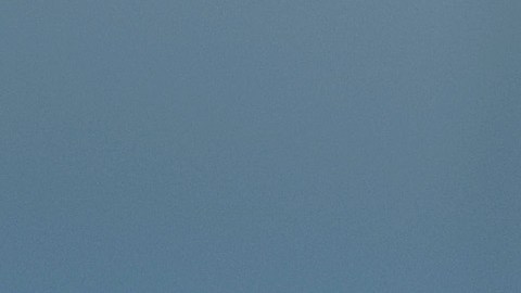 Se complica la situación para Wander Franco