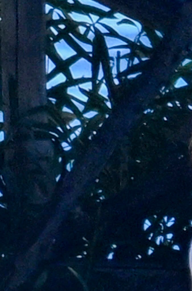 JLo de 54 años hace ejercicio tres o cuatro veces por semana. / Foto de Grosby Group.