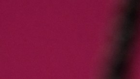 Exigen a ‘Dick's Sporting Goods’ que deje de proveer piel de canguro para la elaboración de zapatos de fútbol