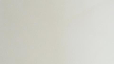 El presidente de Bielorrusia, Alexander Lukashenko, el principal aliado de Vladimir Putin.