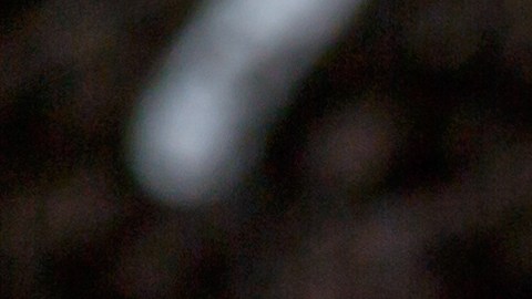 denario-romano-alemania