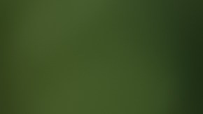 loteria-maryland-trebol-de-cuatro-hojas