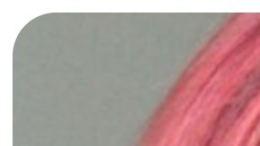 Brandon Thoma y Taylor K. Blaha