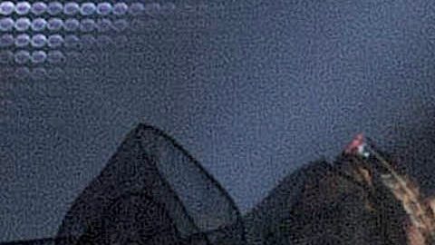 La actriz y cantante Lis Vega