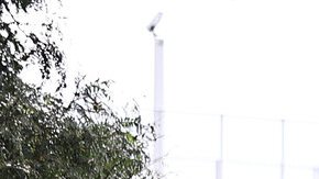 Una vista general el sábado durante el Día de los Niños de Arthur Ashe en el US Open 2023.