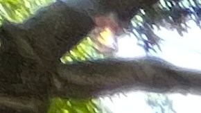 Los trabajadores de la industria de los restauantes de Nueva York están sufriendo los embates de la inflación.