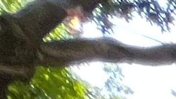 Los trabajadores de la industria de los restauantes de Nueva York están sufriendo los embates de la inflación.