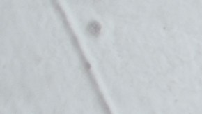 El consumo de alimentos ricos en vitaminas pueden ayudar al cabello acrecer sano y fuerte, se trata de vitaminas del tipo B, A , C y D.