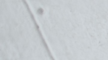 El consumo de alimentos ricos en vitaminas pueden ayudar al cabello acrecer sano y fuerte, se trata de vitaminas del tipo B, A , C y D.