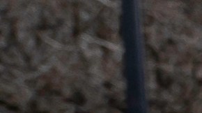 Videos en redes sociales dejan al descubierto que los robots de reparto de comida son víctimas 
 de ataques y robos