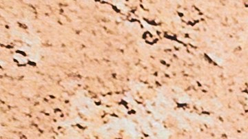 Fibra y Peso Ideal: Los Alimentos Clave para Sentirte Satisfecho y Perder Peso