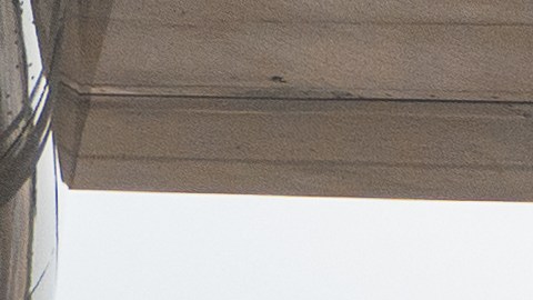 Bodega avión