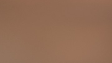 La flor de Jamaica posee grandes propiedades antioxidantes por contener polifenoles, específicamente la antocianina.