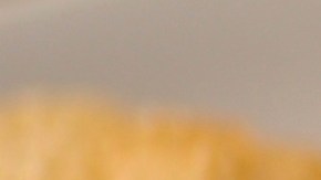 En los Estados Unidos cuando un alimento tiene menos de 0,5 gramos de grasas trans en una porción, por lo general la etiqueta del alimento diga 0 gramos de grasas trans.